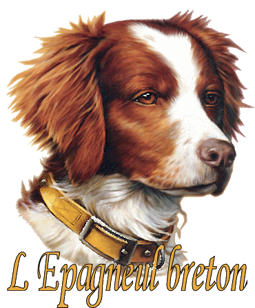 L EPAGNEUL BRETON