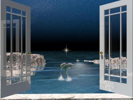 ouvrez la fenetre et vous verrer dauphin