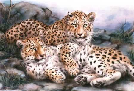 LEOPARDS